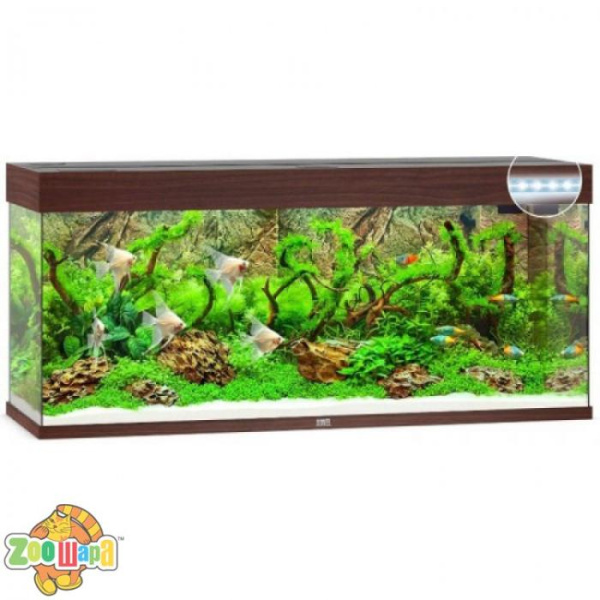 JUWEL Aquarium Аквариум RIO 240 LED коричневый (3750/3700СПЕЦЦЕНА), (1111114544)
