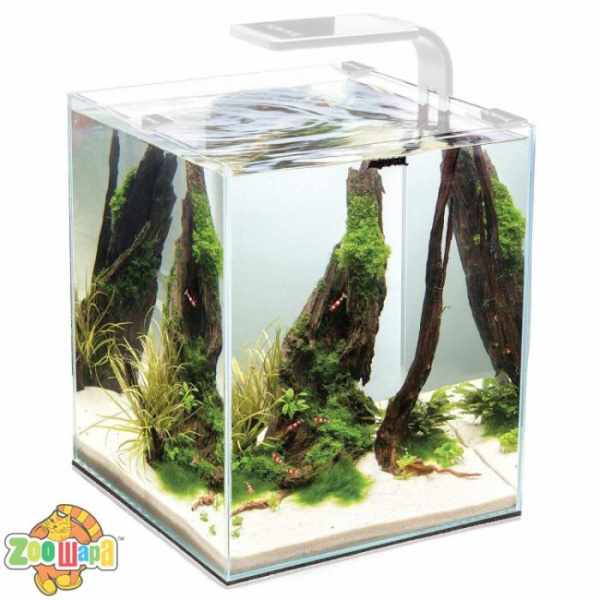 Aquael Акваріум Aquael для креветок SMART  2.0 / Day & Night 30L білий арт.122981 /114960 /113231 (122981 /114960 /113231), (1111139148)