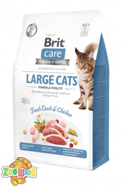Brit Care Корм Brit Care Cat сухий для котів великих порід Бріт Кеа Кет Грейн Фрі Лардж Кетс Пауер енд Віталіті 0.4кг арт.171311 (171311/0921), (1111162374)
