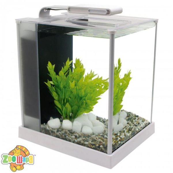 Fluval Аквариум Fluval Spec III 10L  белый (10517), (1111134800)