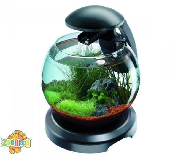 Tetra Акваріум Tetra для півника і золотої рибки Cascade Globe чорний круглий 6.8л арт.211827 (211827), (1111134698)