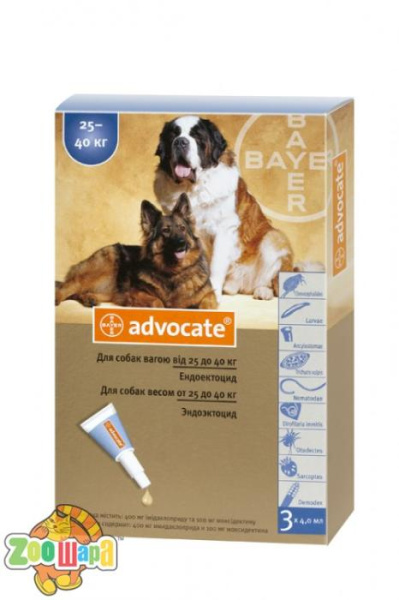 Bayer (Байер) Advocate для собак весом свыше 25 кг, 1 пипетка